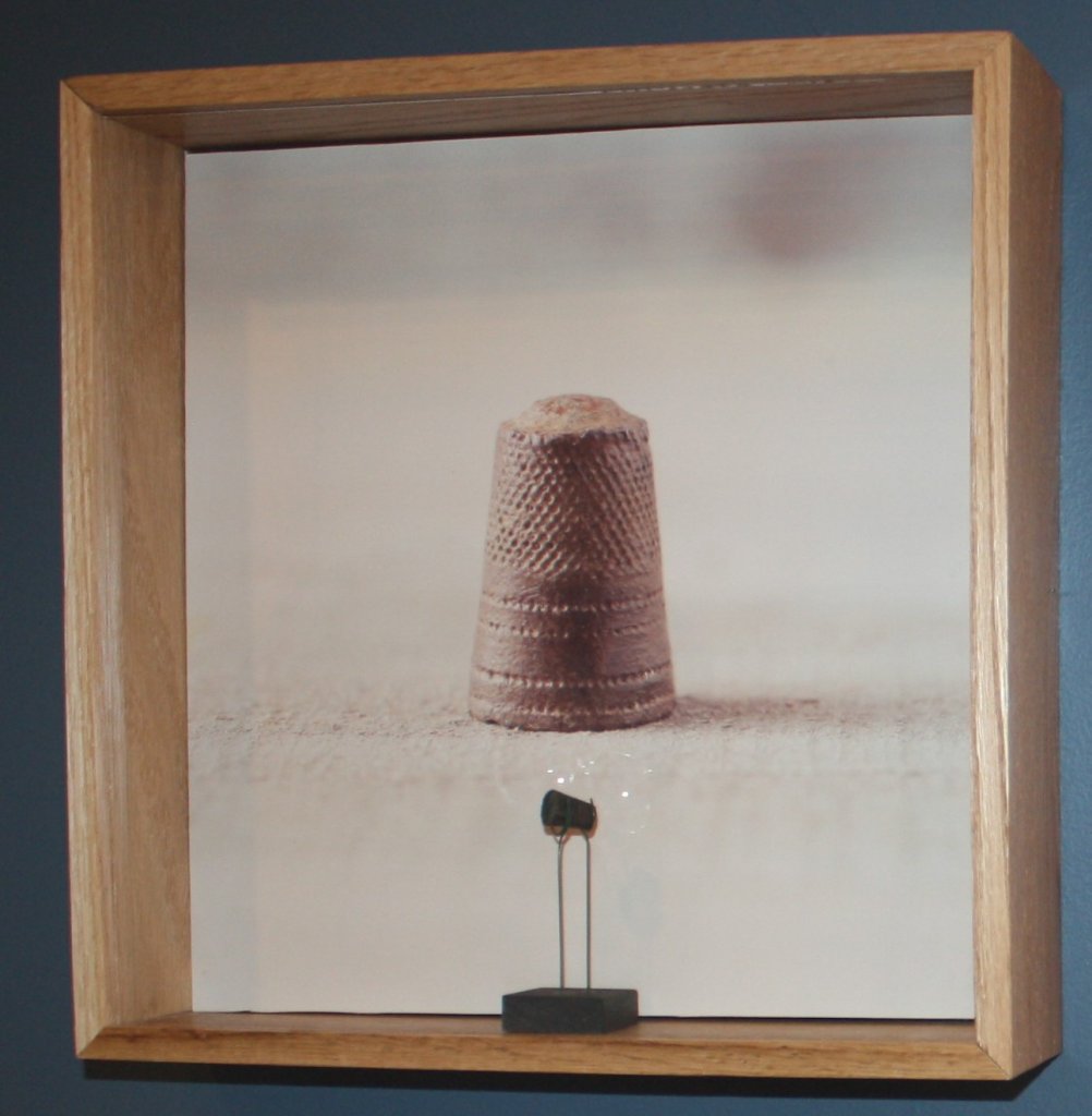 Thimble cropped-Hammock-Coast-South-Carolina