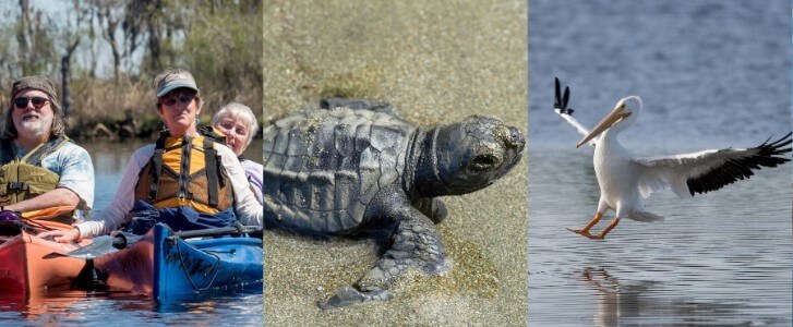 Nature week-onlypawleys