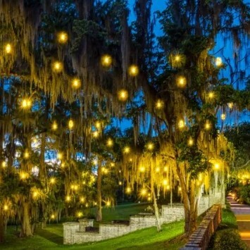 Brookgreen-Summer-Lights-