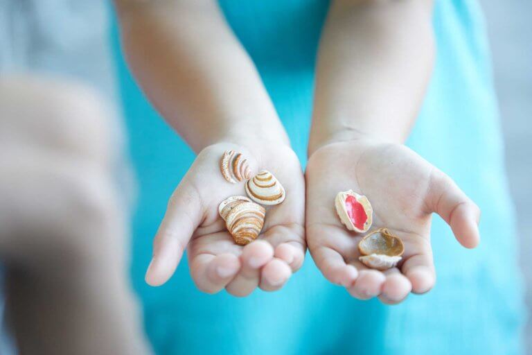 Six small, striped Pawleys Island shells rest in the open palm of two hands