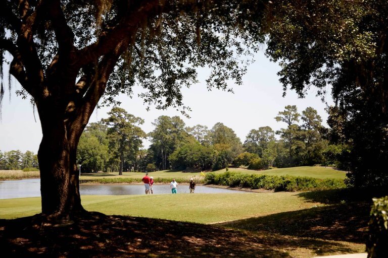 A group of golfers stands on a green near a water hazard, framed by the shadow of a large tree in the foreground