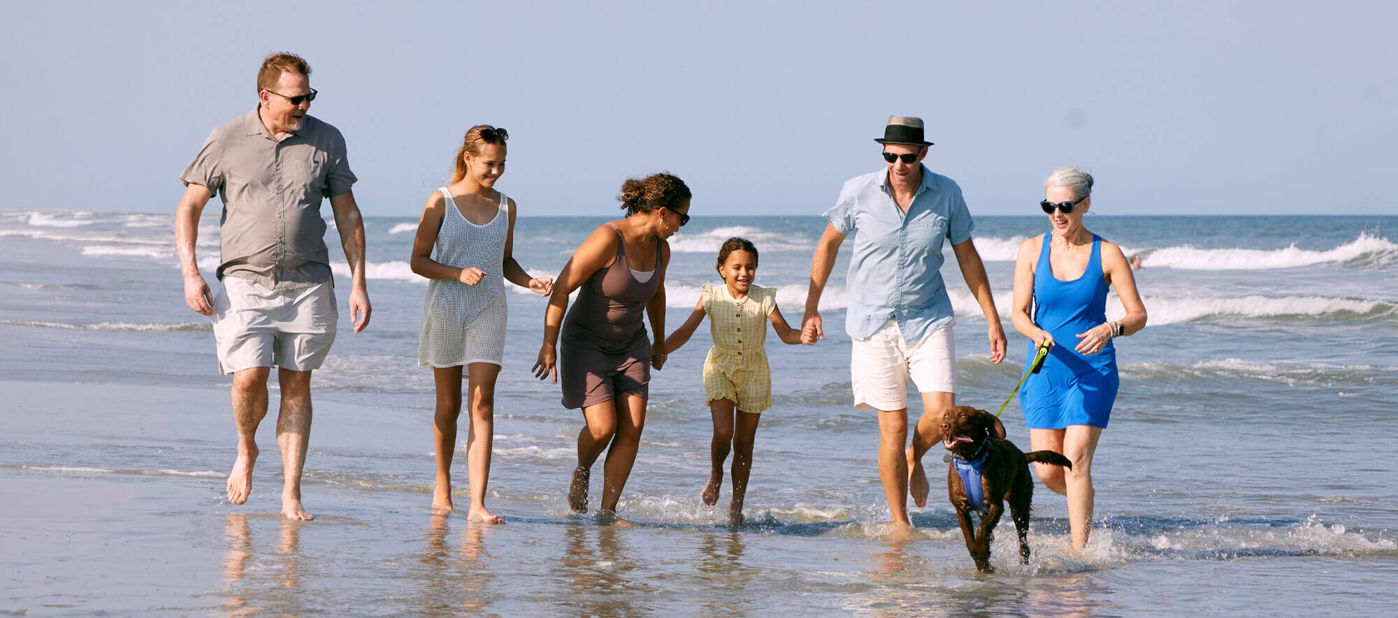 Bottomimage 1-onlypawleys