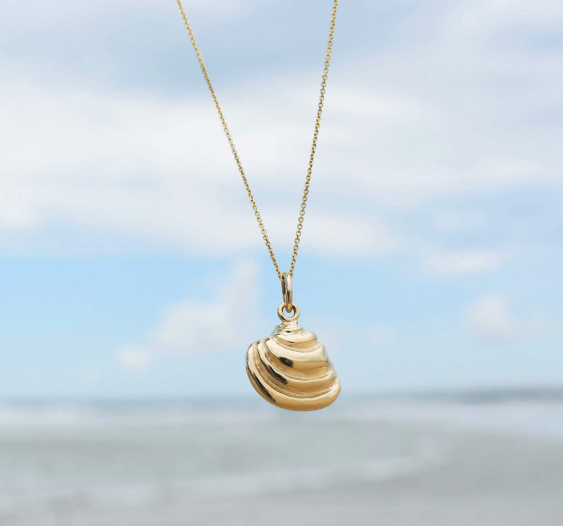 Pawleys shell necklace-onlypawleys